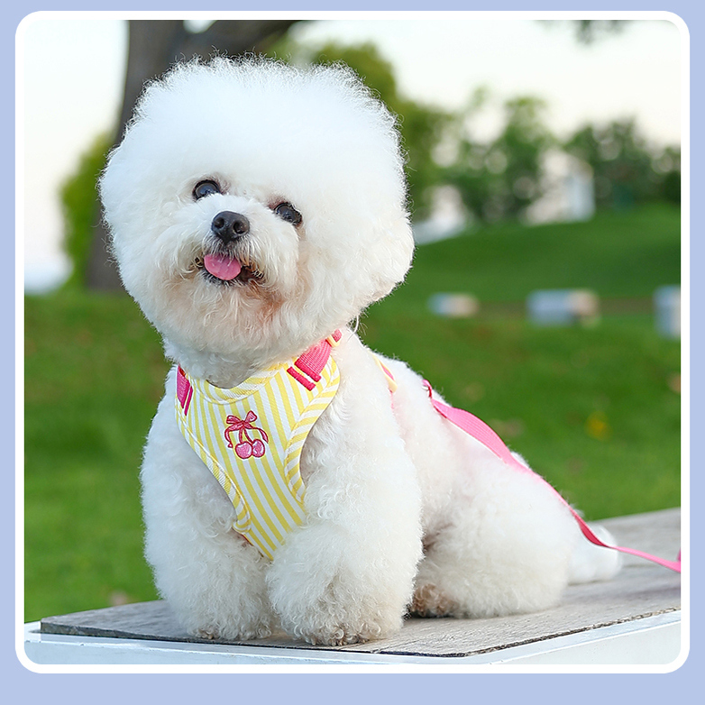 背心式狗狗牵引绳中小型犬胸背带比熊泰迪专用遛狗绳链子宠物用品