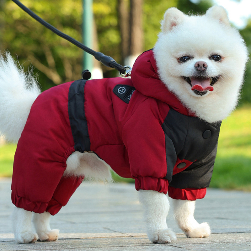 2025年新款小狗狗衣服比熊泰迪保暖四脚衣可牵引博美加厚宠物衣服