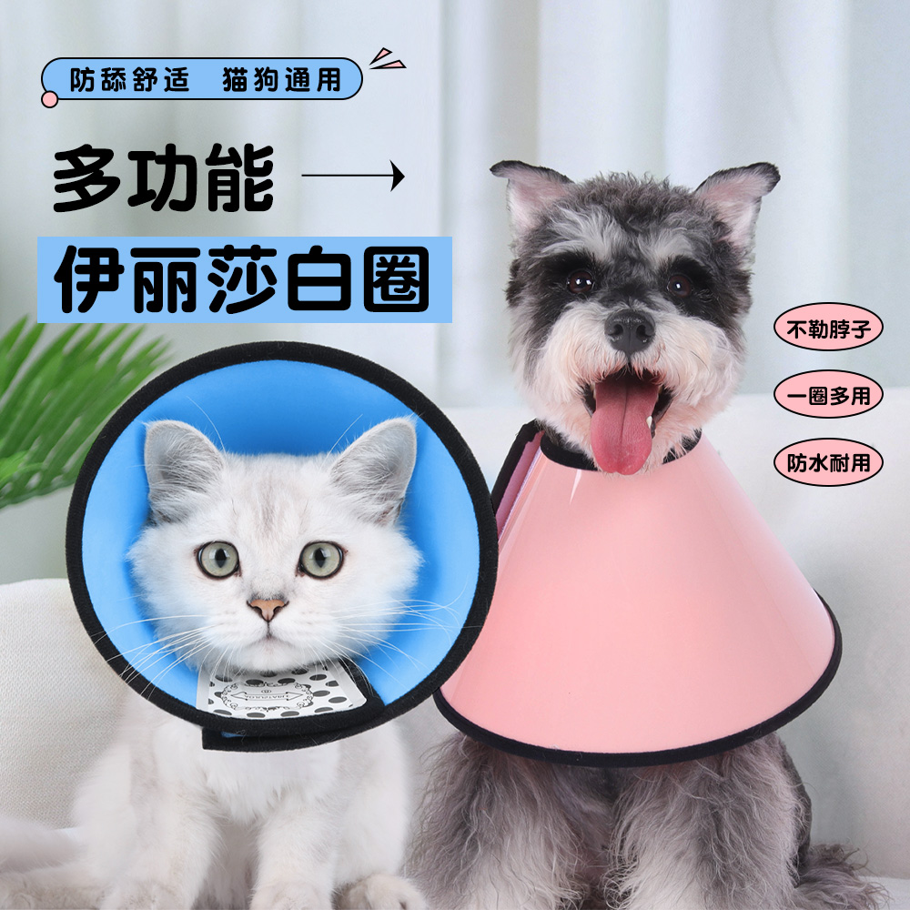 歌照宠物伊丽莎白圈宠物用品