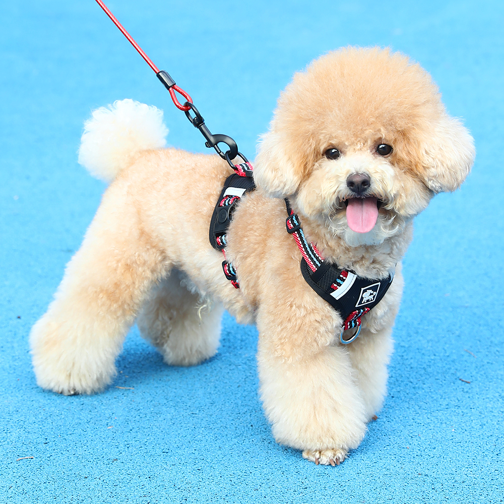 狗狗牵引绳背心式小狗绳子中大型犬柯基柴犬胸背带比熊泰迪遛狗绳