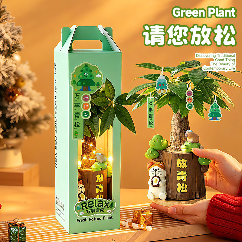 生日礼物伴手礼治愈解压工位放青松摆件发财树盆栽懒人好养植物