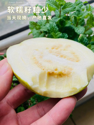 广西非红心芭乐软糯番石榴新鲜水果低糖冰淇淋脆香甜可口大果3斤