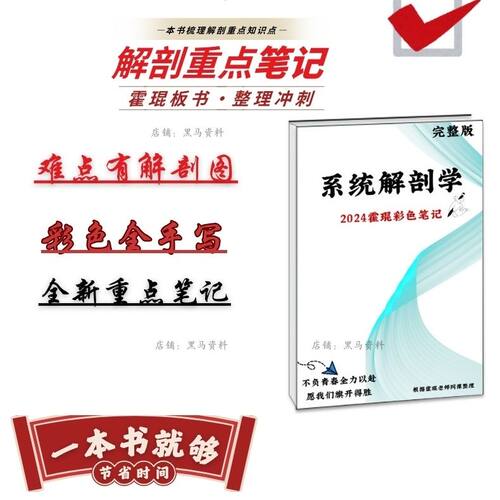 2025系统解剖学升级版学霸高分上岸整理霍琨笔记纠错人体笔记本