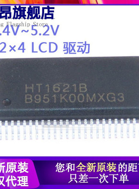 原装正品 HT1621B SSOP-48 LCD驱动器 液晶芯片 HT1621