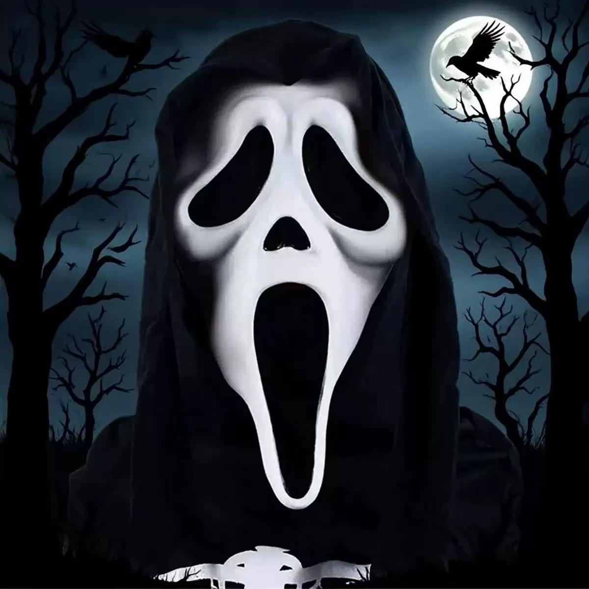 Halloweencospyhofumk