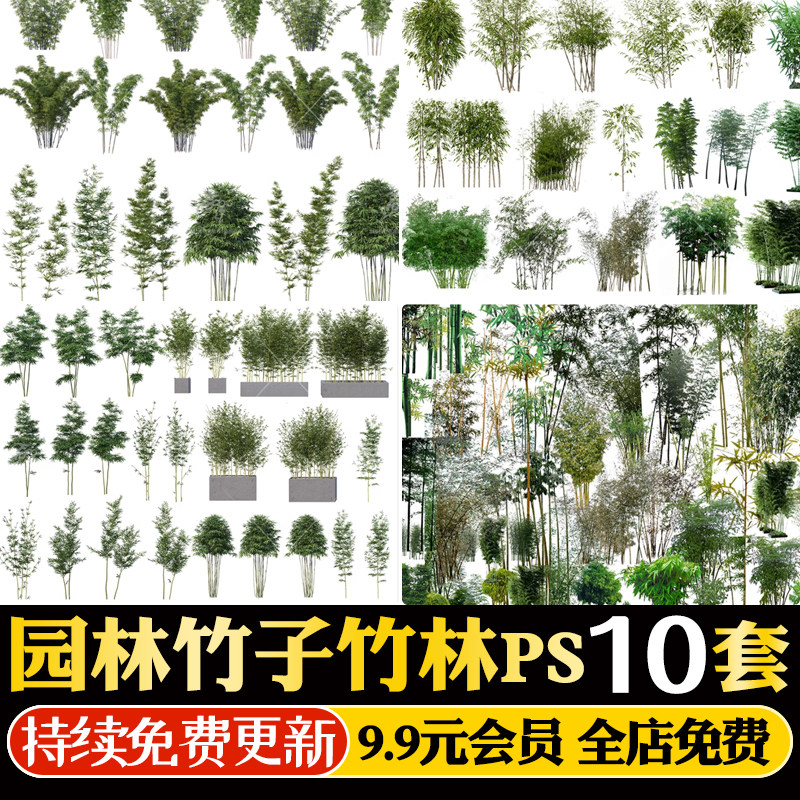 禅意新中式日式园林景观园艺植物竹子竹叶竹林平面图psd源文件