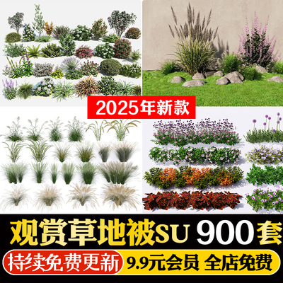 公园园林景观三维花草植物组团观赏草草坪草皮草丛地被芦苇SU模型