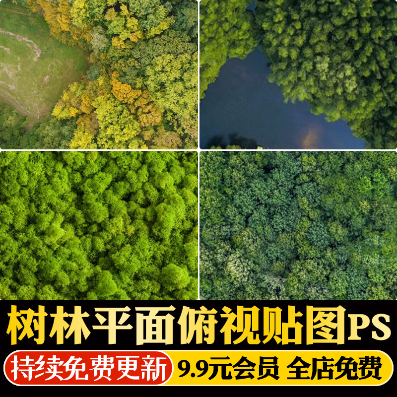 树丛树群植物鸟瞰俯瞰俯视图树林自然森林彩平底图平面ps贴图素材