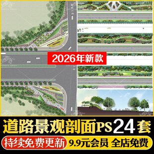 道路公路景观彩平图PS市政道路绿化平面立面横断面分析图PSD素材