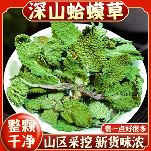深山癞蛤蟆草中药材500g新鲜干新货整颗赖蛤蟆草正品荔枝草哈莫草
