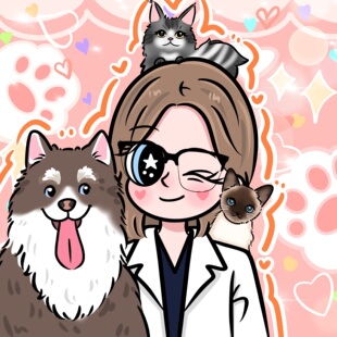 一元链接