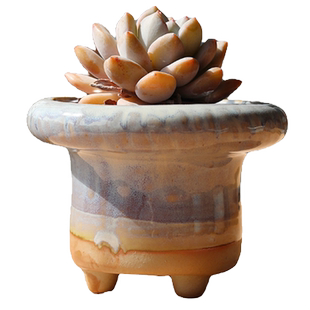 大口径复古多肉花盆陶瓷创意个性群生法师窑变特价清仓透气大号盆