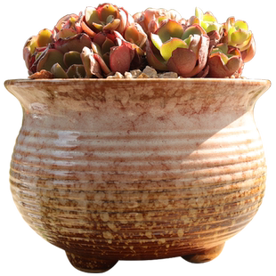 景德镇窑变简约复古多肉植物花盆陶瓷群生大口径粗陶创意个性盆器