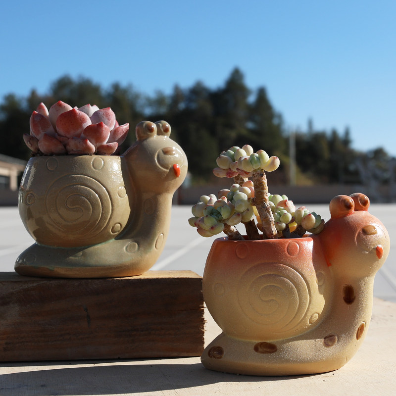 卡通动物多肉花盆陶瓷创意蜗牛可爱粗陶透气园艺造景绿植特价摆件