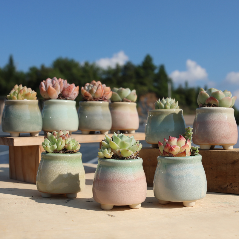 白瓷冰裂奶油治愈风新款特价