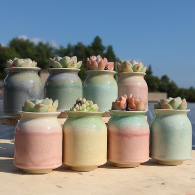 白瓷简约清新特价包邮