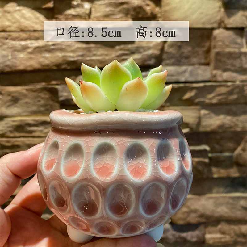 陶瓷简约清新猫眼印章花盆