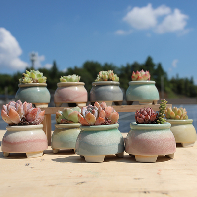 彩虹撞色冰裂控型陶瓷多肉拇指花盆小奶罐简约白瓷透气桌面小摆件