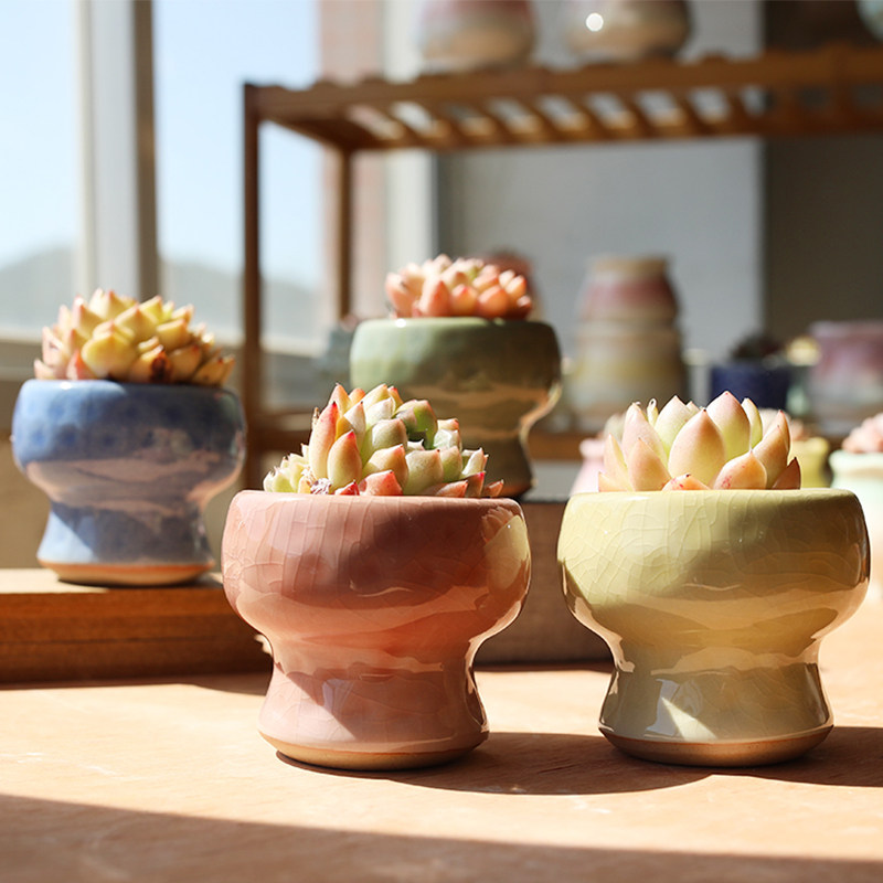 新款简约多肉花盆清新冰裂釉创意个性粗陶透气火锅盆控养特价清仓,鲜花速递/花卉仿真/绿植园艺,花盆,淘宝优惠券,粉丝福利购,淘宝优惠卷