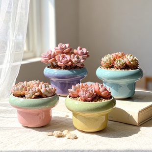 大口径多肉花盆陶瓷个性创意桌面冰裂大号法师群生室内绿植花器