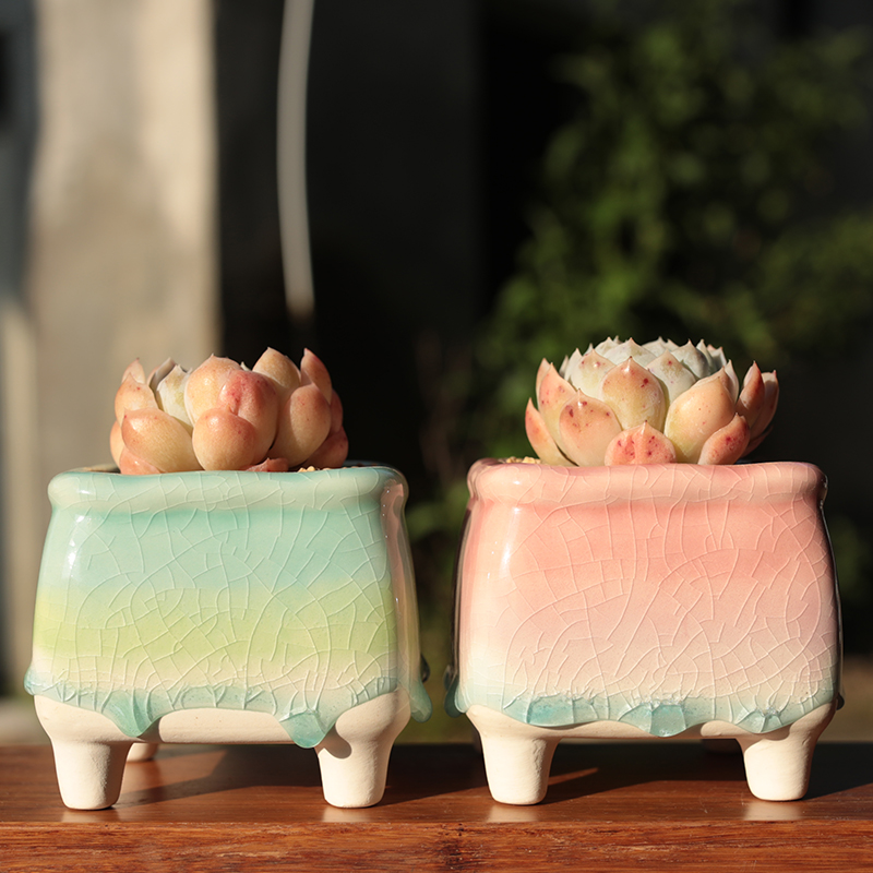 韩式清新多肉花盆陶瓷白瓷冰裂