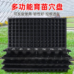 育秧苗盘菜苗专用塑料托 托盘多功能蔬菜秧苗种植杯神器大号营