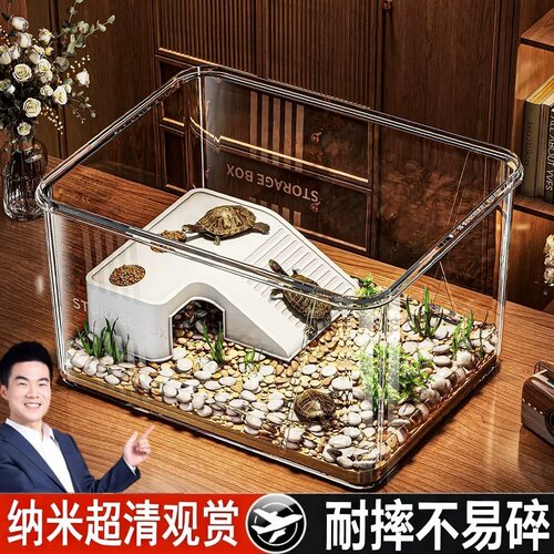 乌龟水陆两栖桌面生态缸