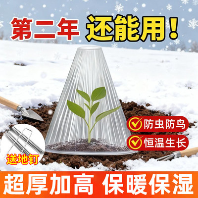 育苗加厚透明钟罩防霜防鸟