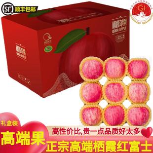 2025新果正宗栖霞烟台红富士苹果礼盒新鲜水果送长辈顺丰产地直邮