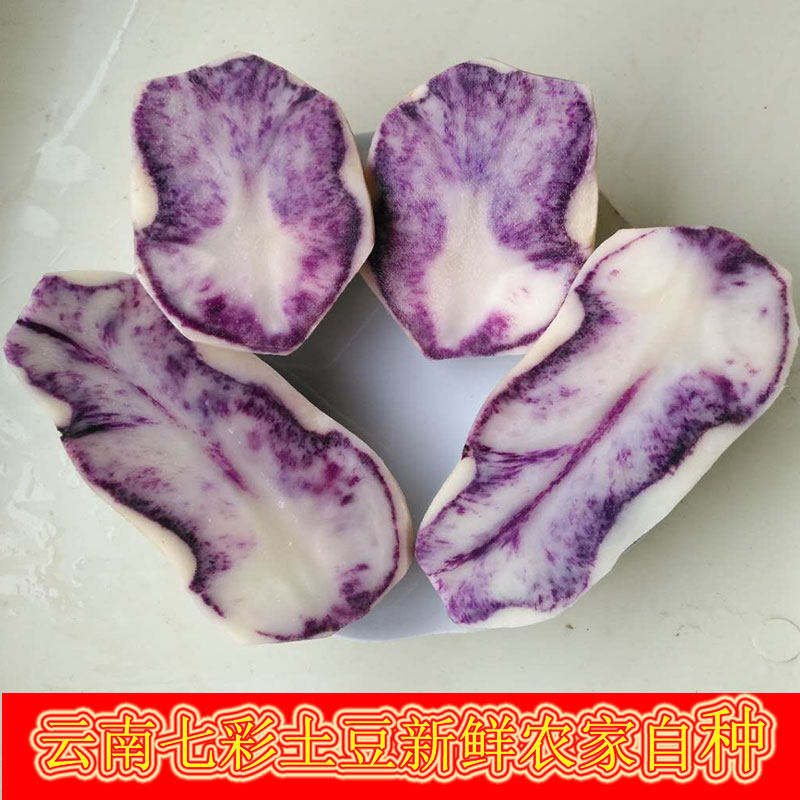 农家自种土豆紫心新鲜现挖净重