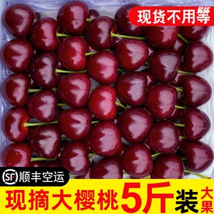 新鲜车厘子5斤装烟台美早大樱桃包邮山东整箱一箱10当季孕妇水果