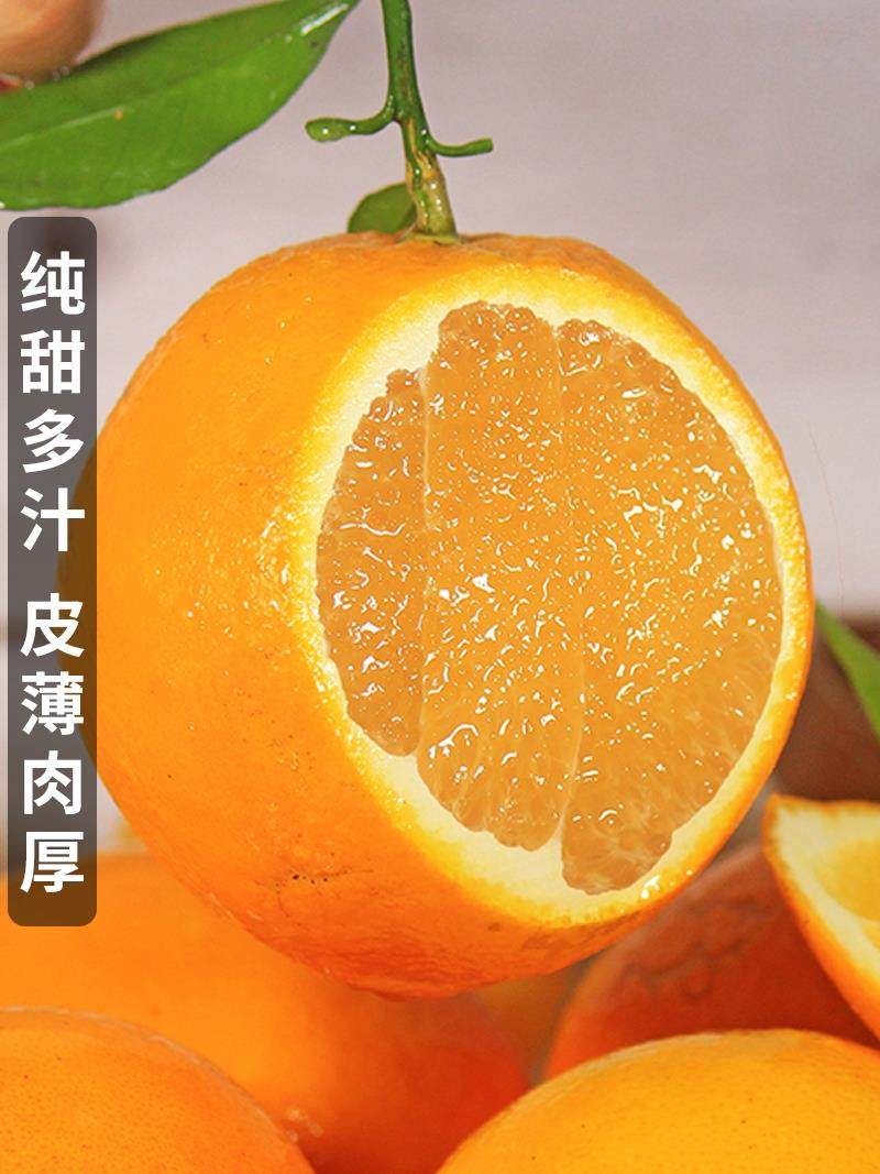 湖南麻阳冰糖橙新鲜10斤水果果冻
