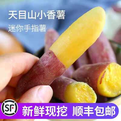 临安新鲜现挖板栗香甜小番薯