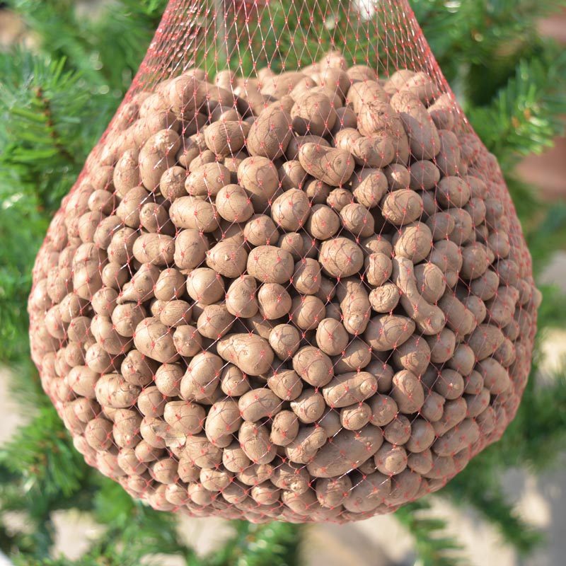 新鲜山药豆蛋净重5斤粉糯香甜新鲜蔬菜新鲜发货