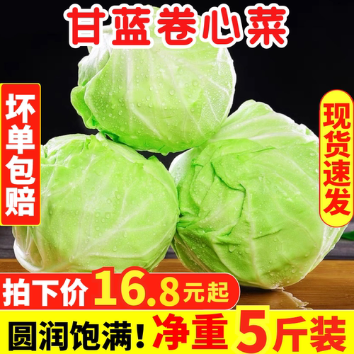 新鲜蔬菜绿甘蓝卷心菜大头菜包心菜圆包菜沙拉菜生吃9斤产地直销 - 封面