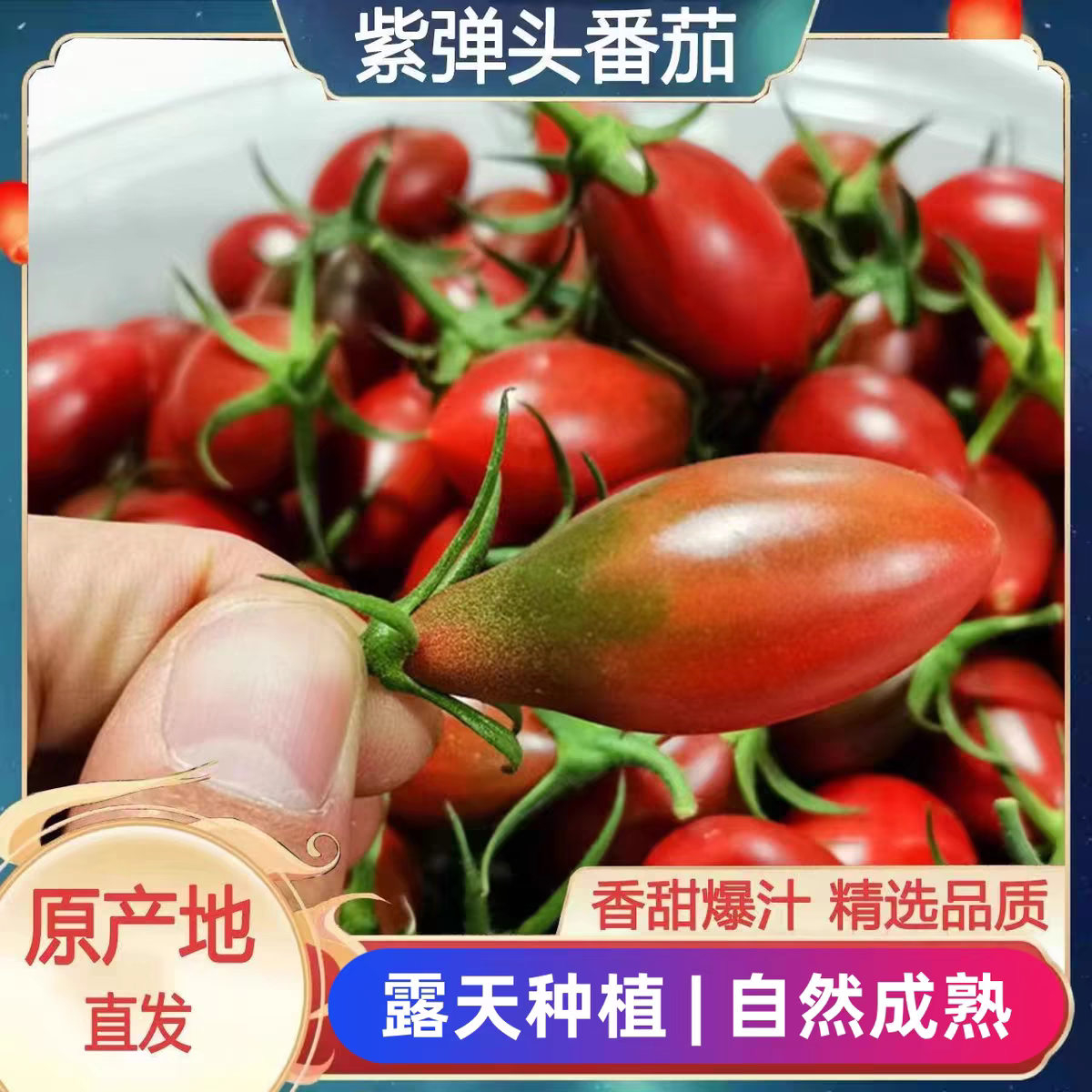 新鲜紫弹头迷彩小番茄水果紫葡萄番茄现摘自然成熟迷彩小番茄