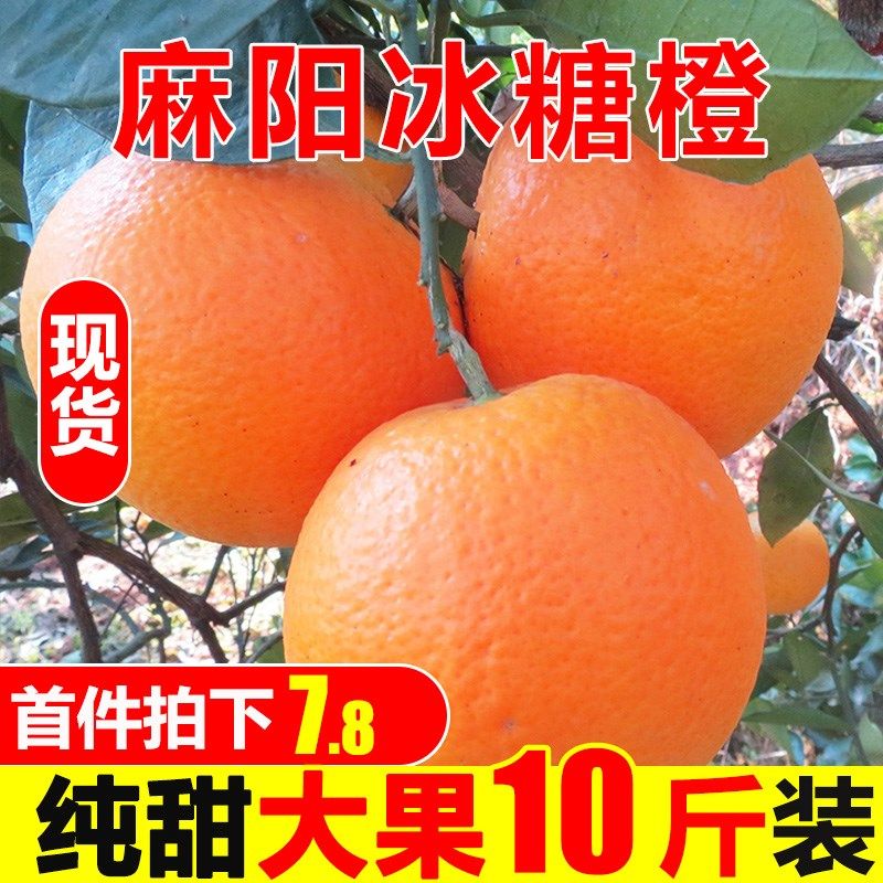 现摘橙子麻阳冰糖橙湖南甜橙子整箱10斤包邮当季新鲜水果手剥橙