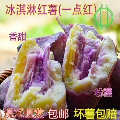 板栗新鲜粉糯香甜番薯