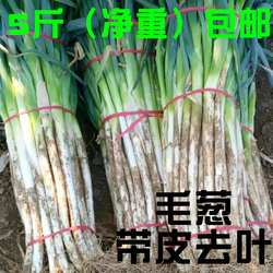 山东大葱新鲜五斤非河南东北章丘葱去半叶带皮带根毛葱安丘铁杆葱