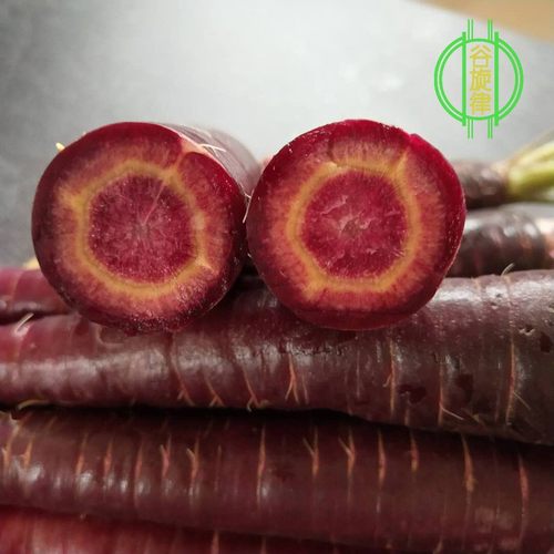 紫色水果萝卜价格 多少钱 紫色水果萝卜价格 多少钱