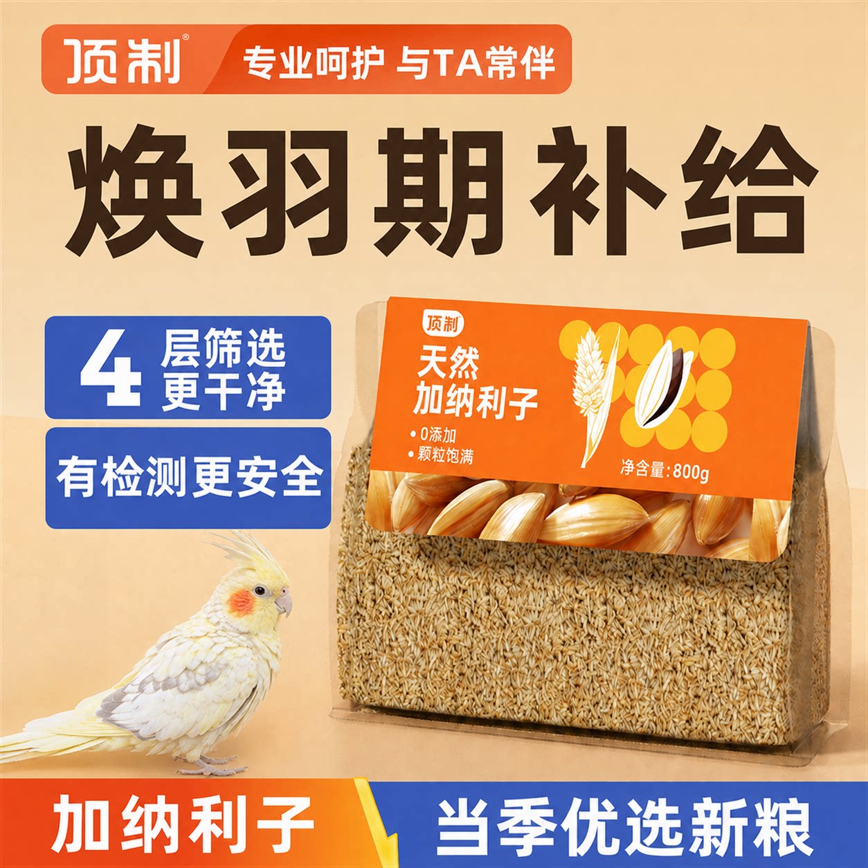 顶制加纳利子鹦鹉奖励训练粮图片