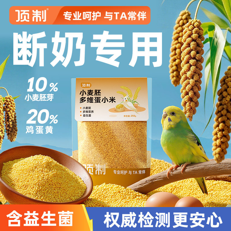 顶制鹦鹉胚芽蛋小米断奶繁殖神器图片
