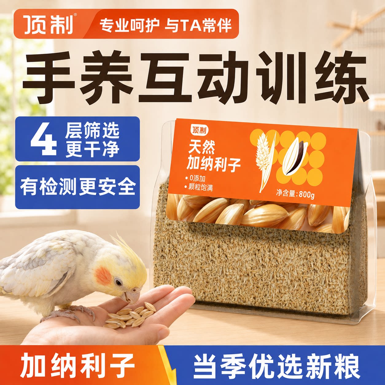 顶制加纳利子手养互动奖励鸟粮图片