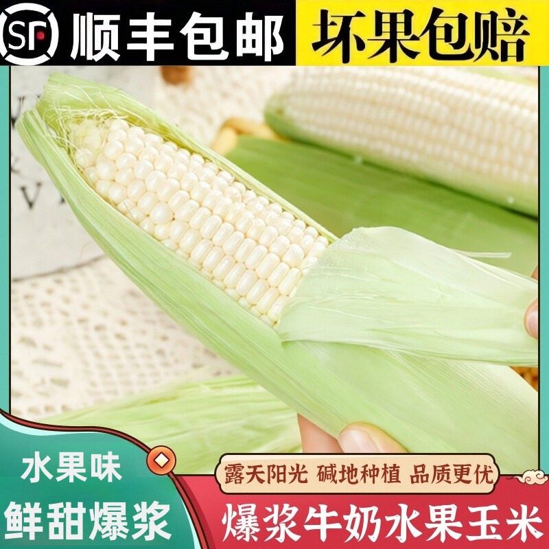 福建漳州爆浆水果牛奶甜玉米开袋即食可生吃新鲜冰糖水果玉米棒子,水产肉类/新鲜蔬果/熟食,新鲜玉米,淘宝优惠券,粉丝福利购,淘宝优惠卷