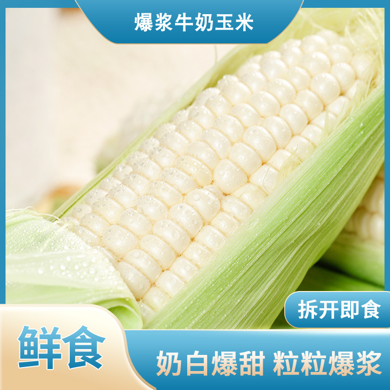 水果玉米鲜合作即食爆浆玉米棒子