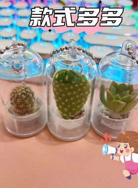 创意小盆栽试管绿色植物迷你多肉钥匙扣挂件仙人掌小礼品送人礼物