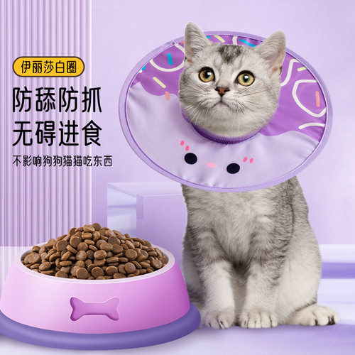 宠物伊丽莎白圈猫咪狗狗兔子项圈轻薄防舔咬围脖脖圈耻辱圈头套