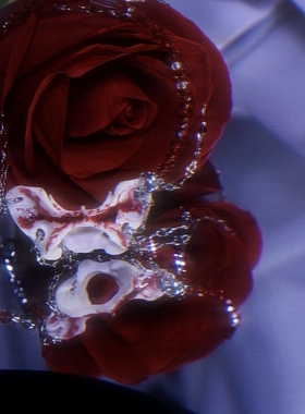 暗黑哥特冷淡风钛钢锁骨链骸骨