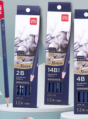 得力2B书写铅笔4B美术画画小学生铅笔3B  5B 8B 12B 14B儿童素描幼儿园写字六角练字铅笔矫正考试用免费刻字