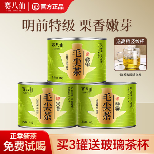 2026新茶毛尖茶特级浓香型绿茶叶